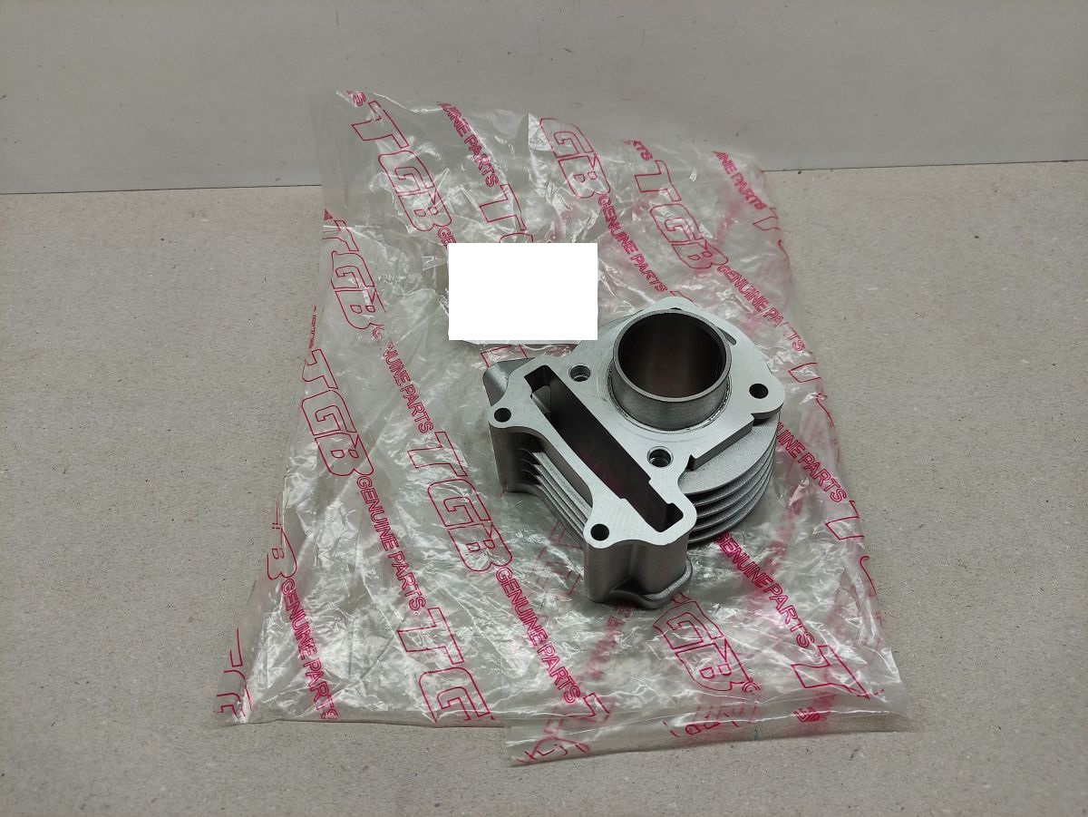 Pegasus S50 LX - Zylinder 50ccm NEU cylinder  (40-3)