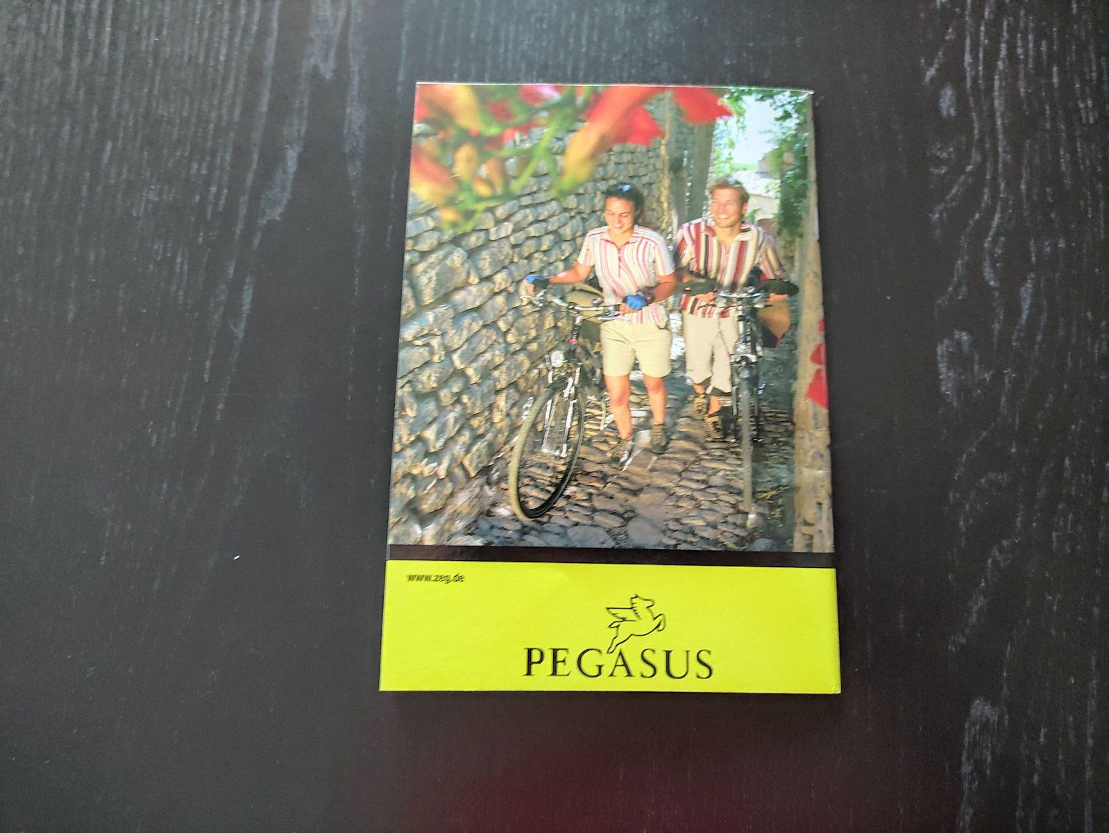 Pegasus Benutzer-Handbuch Damenrad Herrenrad Fahrrad Gebruikershandboek (38)