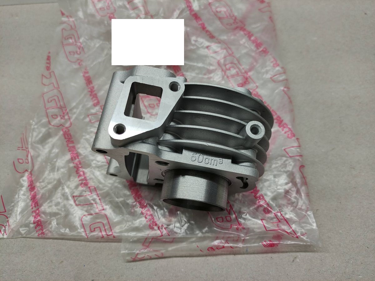 Pegasus S50 LX - Zylinder 50ccm NEU cylinder  (40-3)