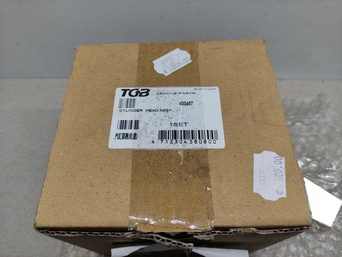 TGB Pegasus R125X, 303R 125, Delivery 125 Zylinderkopf NEU Cylinder head (40-4)
