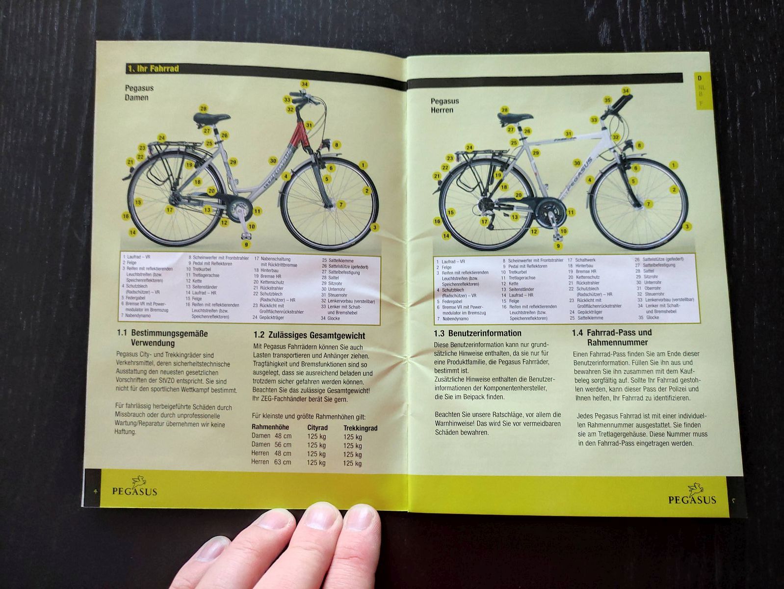 Pegasus Benutzer-Handbuch Damenrad Herrenrad Fahrrad Gebruikershandboek (38)