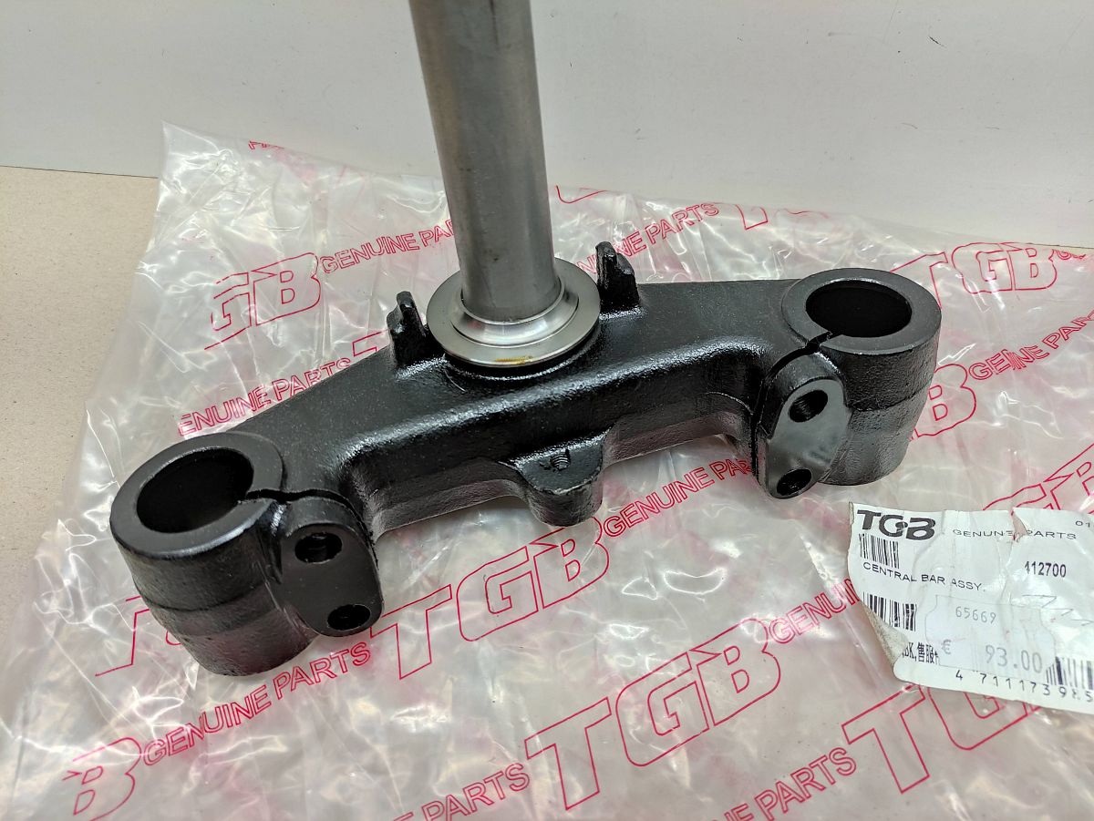 Pegasus SKY Express TGB Delivery - Gabelbrücke NEU 412700 fork bridge (40)