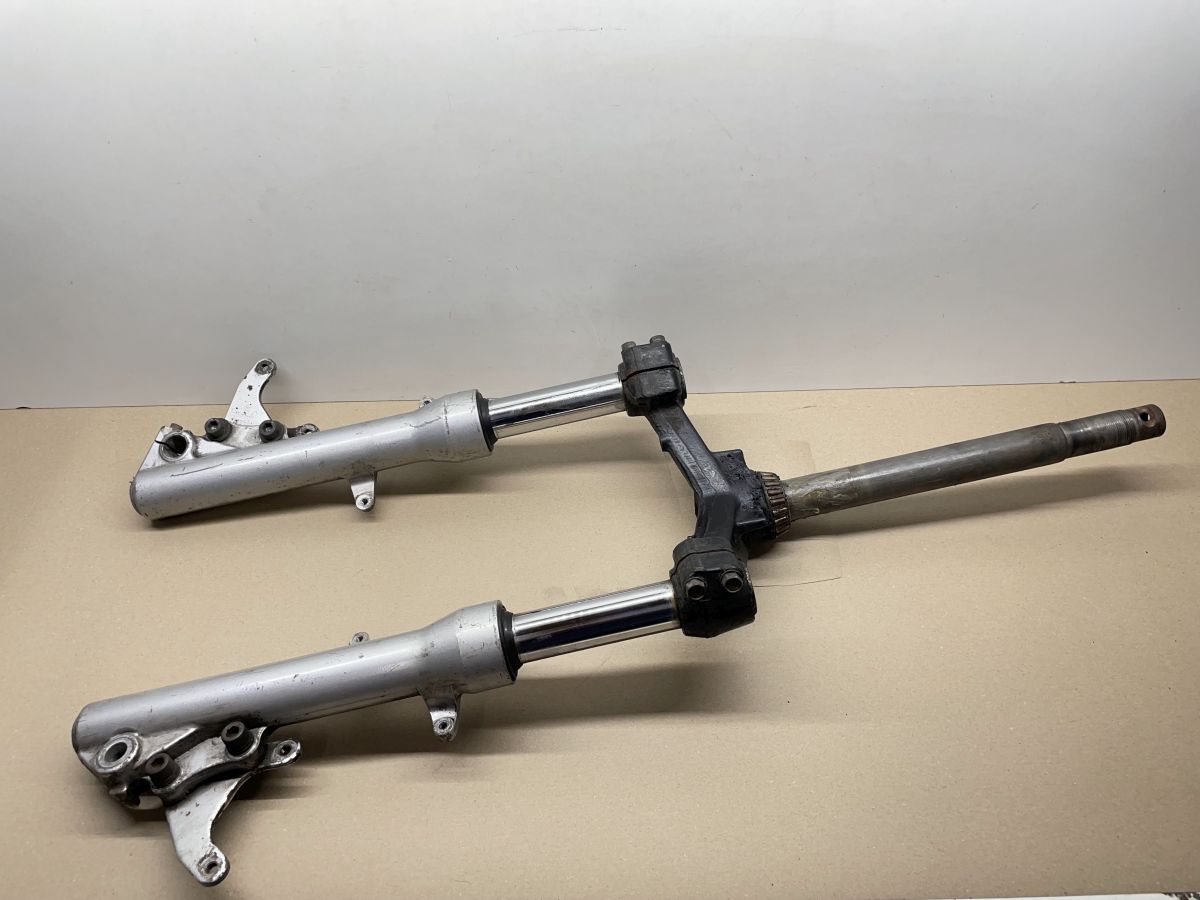 Piaggio X9 250 - Vordergabel Gabel Federung Stoßdämpfer Tachrohr front fork (75)