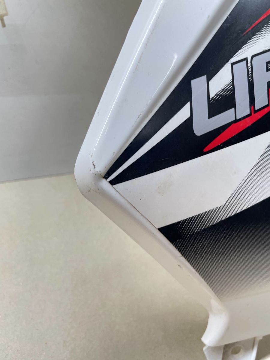 Lifan S-Ray 50 Seitenverkleidung vorne rechts Blinker Verkleidung Abdeckung (102-R)