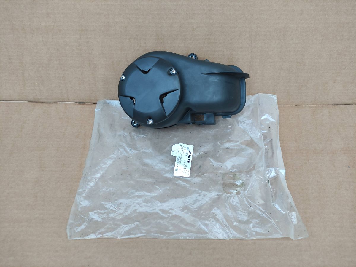 Pegasus S50 GP - ORIGINAL ZEG Motorverkleidung Zylinder NEU fairing (40)