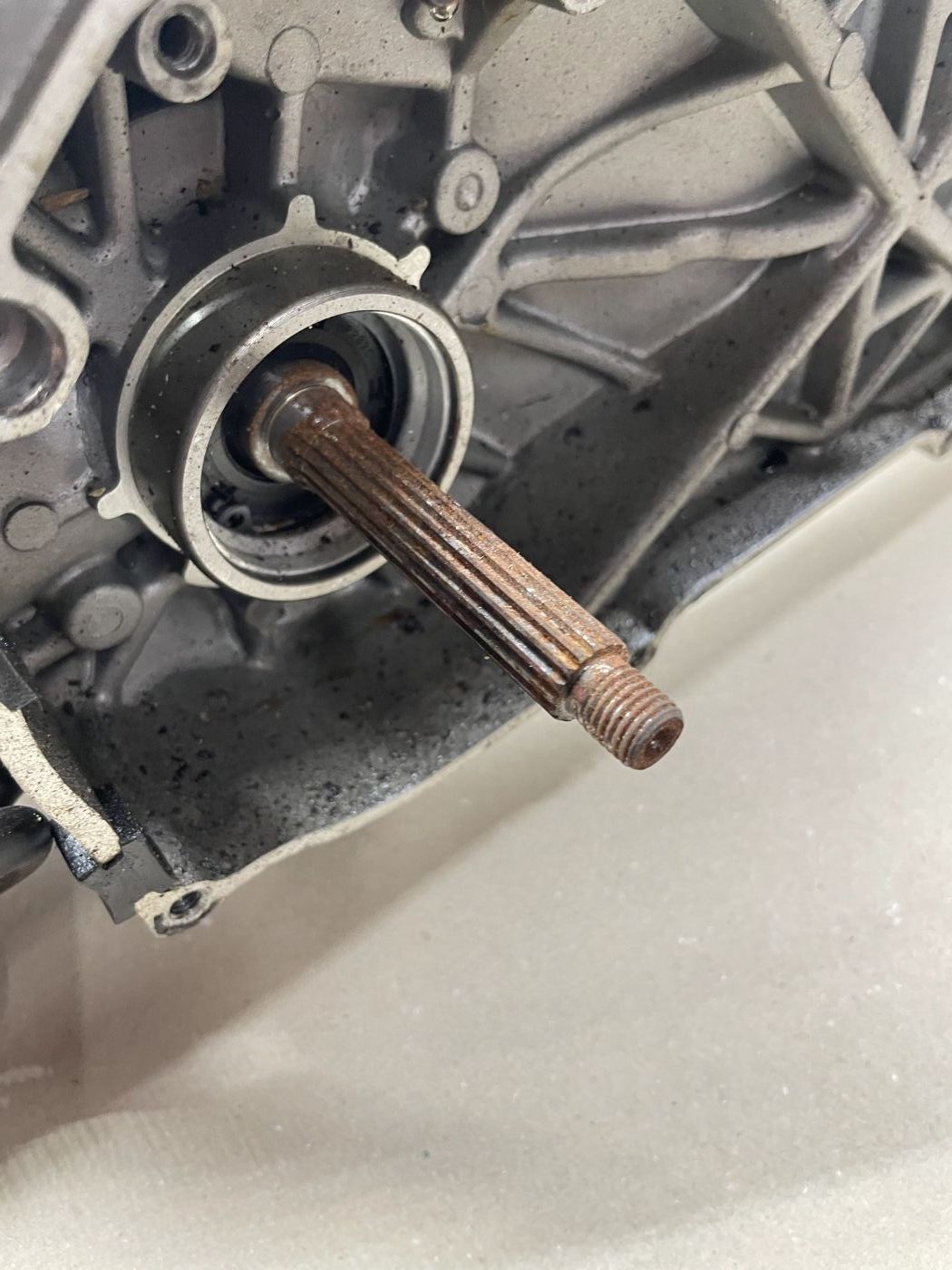 Lifan S-Ray 50 - Motorblock Zylinder Getriebe Kurbelwelle (102-12)