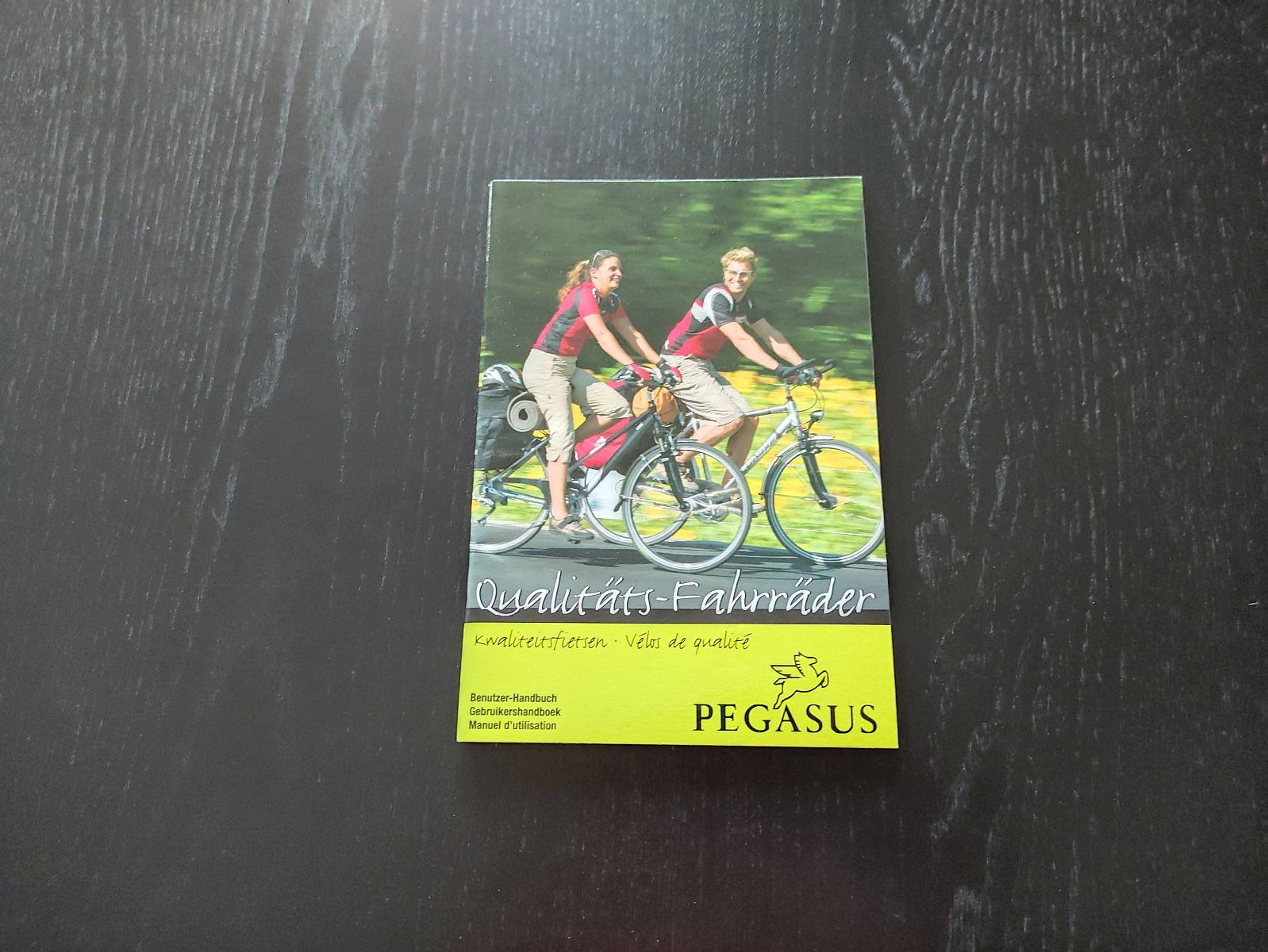 Pegasus Benutzer-Handbuch Damenrad Herrenrad Fahrrad Gebruikershandboek (38)