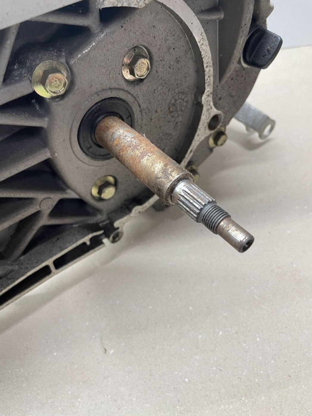 Lifan S-Ray 50 - Motorblock Zylinder Getriebe Kurbelwelle (102-12)
