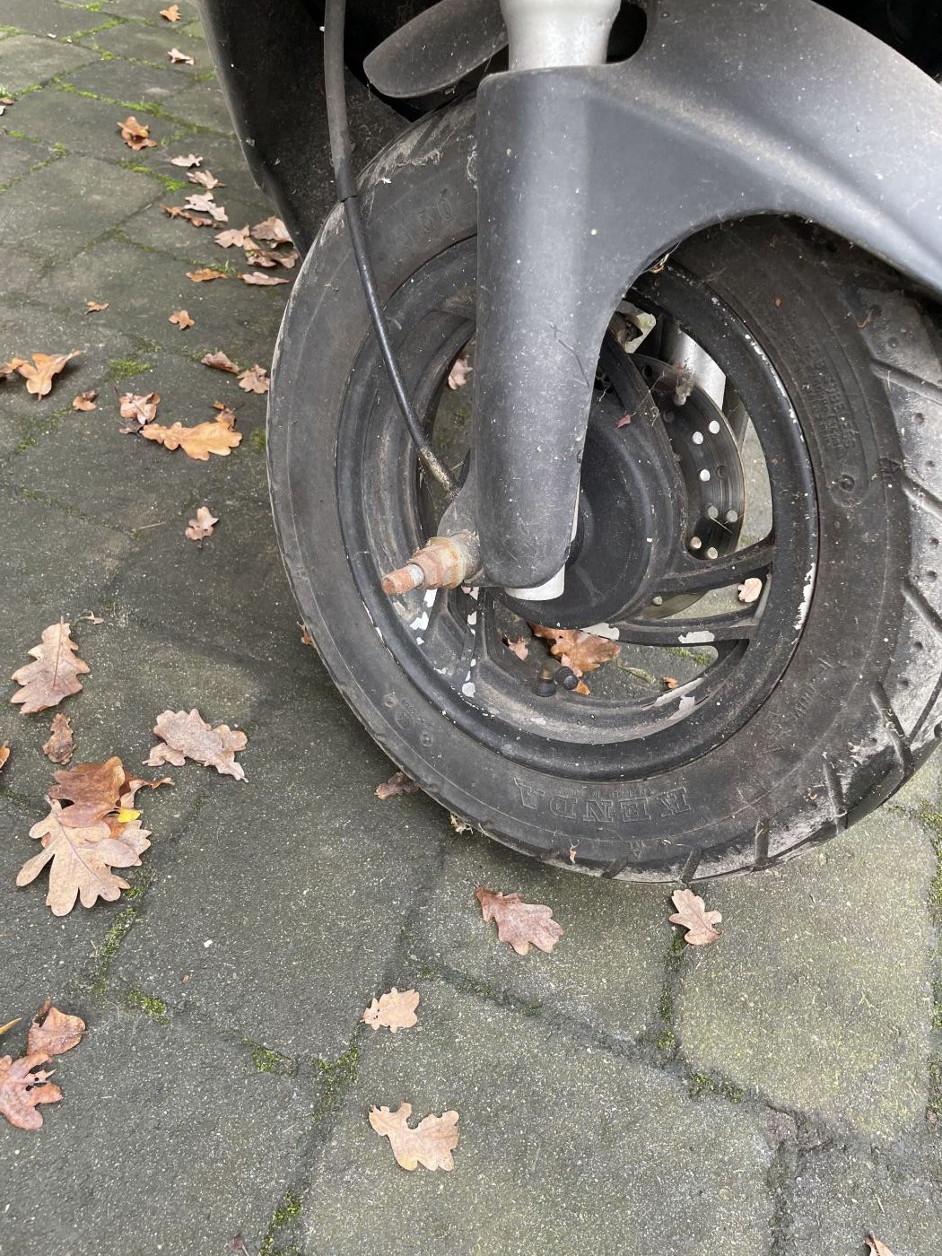 Rex RS 450 -  Vorderrad Reifen Felge vorne wheel (102-15)