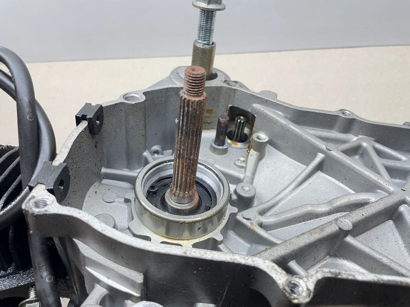 Lifan S-Ray 50 - Motorblock Zylinder Getriebe Kurbelwelle (102-12)