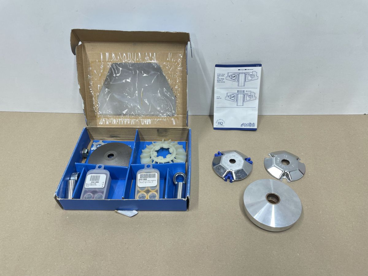 Polini Speed Control Evolution 2  / 19x15,5  / Aprilia Yamaha Malaguti (118-13)