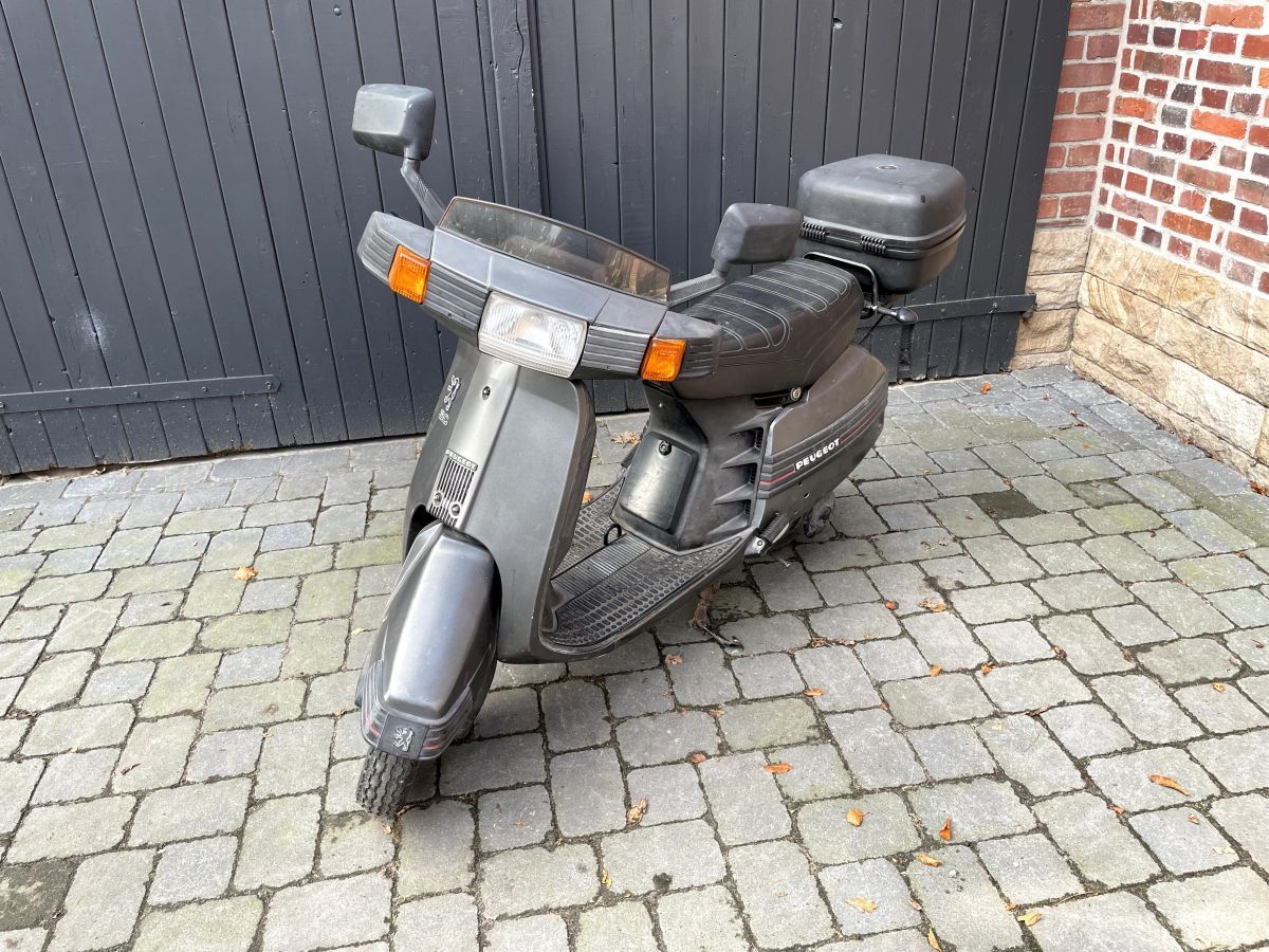 Peugeot SC50 - Gabel Federgabel Stoßdämpfer (H9)