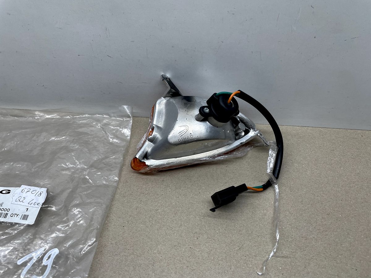 Pegasus S50 LX - ORIGINAL Blinker vorne ZEG 33450-HS07A-00000 NEU  (40-19)
