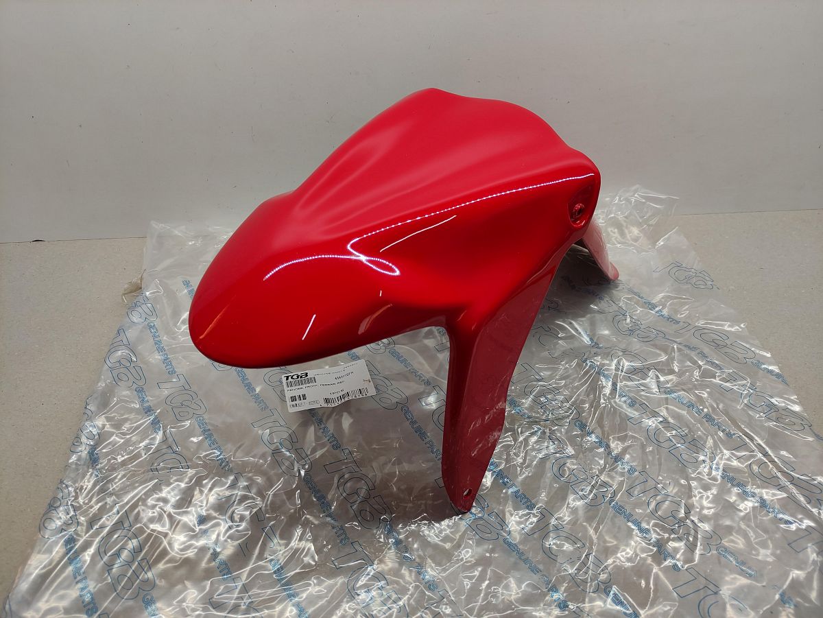 Pegasus R50X TGB Bullet Hawk Kotflügel 456001BFR Verkleidung fender fairing (40)