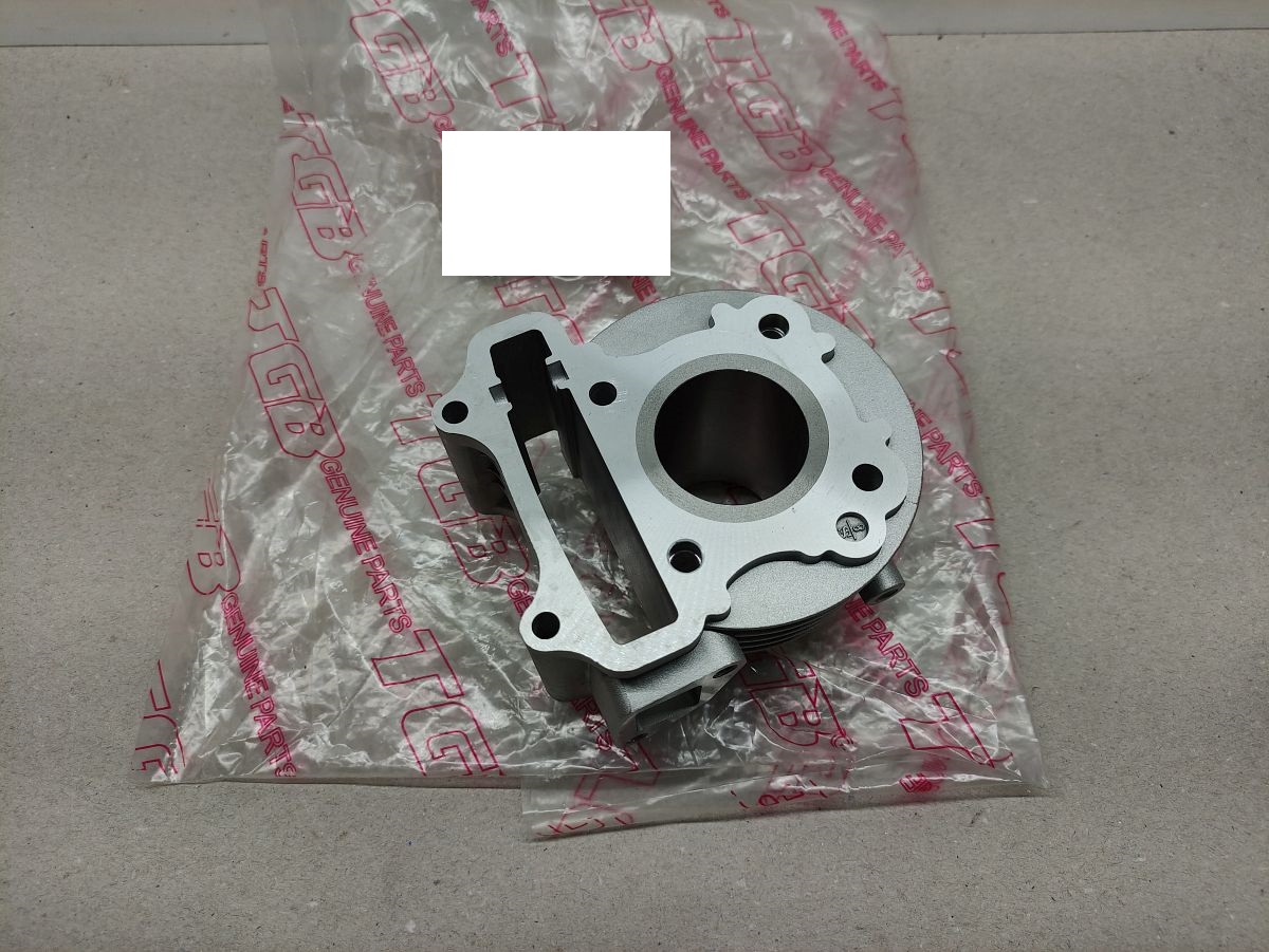 Pegasus S50 LX - Zylinder 50ccm NEU cylinder  (40-3)