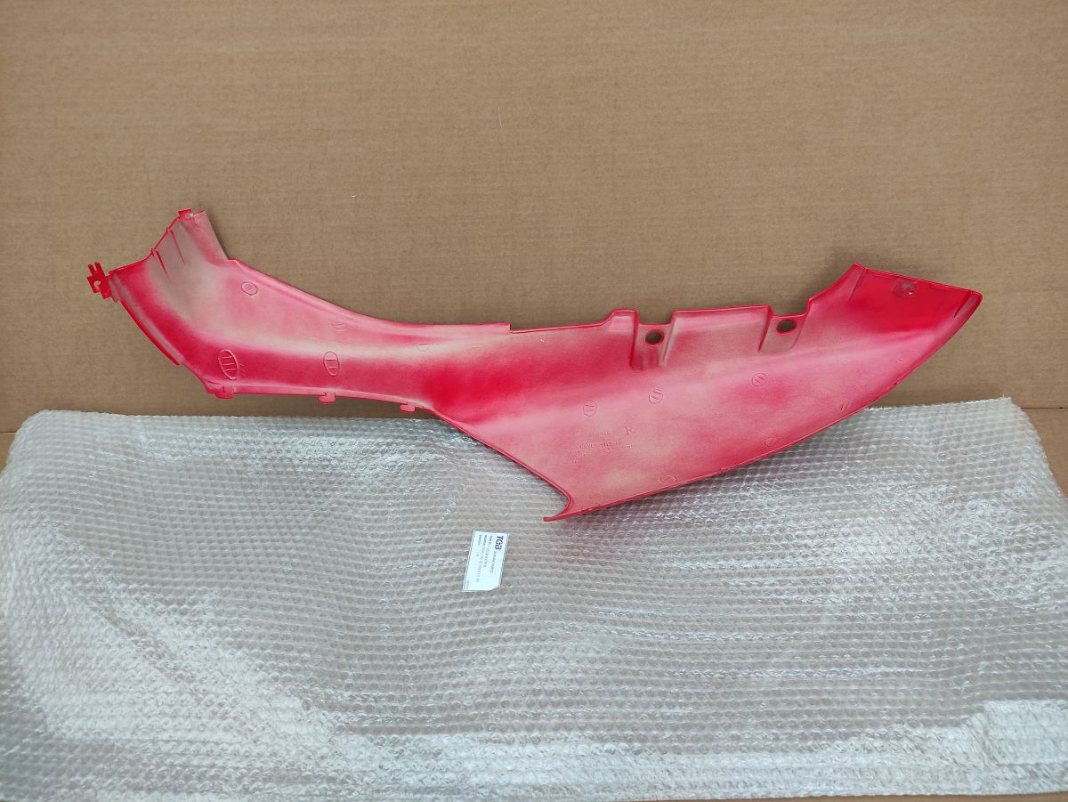 Pegasus Corona TGB 303R Hawk Seitenteil Verkleidung rechts 453003FR fairing (40)