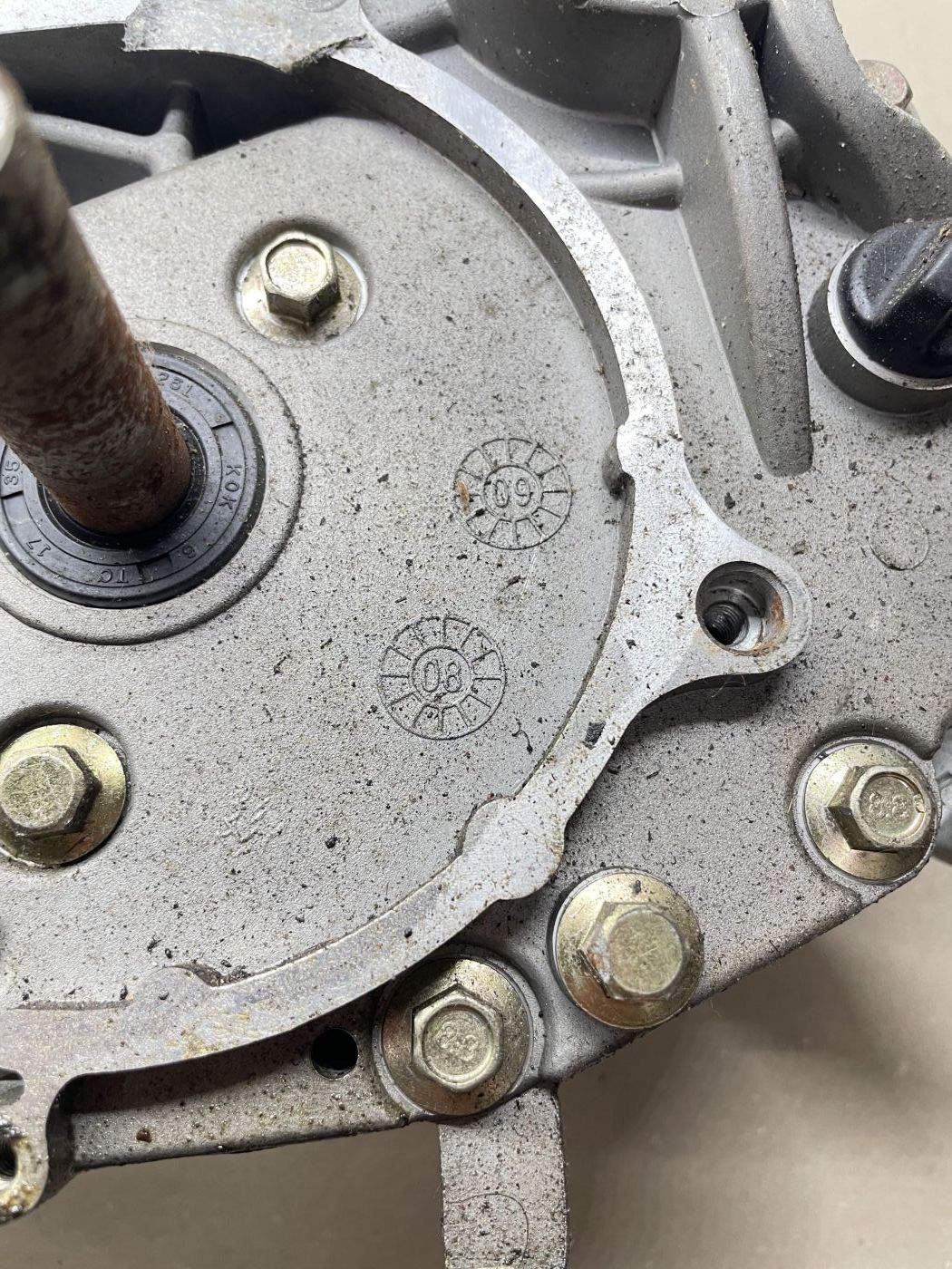 Lifan S-Ray 50 - Motorblock Zylinder Getriebe Kurbelwelle (102-12)