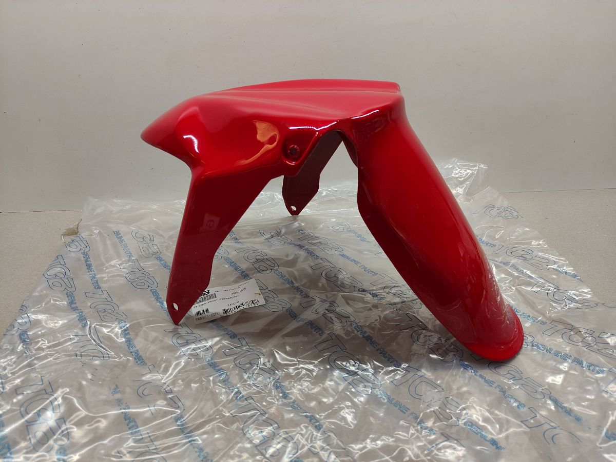 Pegasus R50X TGB Bullet Hawk Kotflügel 456001BFR Verkleidung fender fairing (40)
