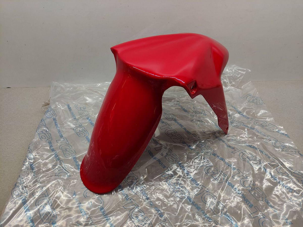 Pegasus R50X TGB Bullet Hawk Kotflügel 456001BFR Verkleidung fender fairing (40)